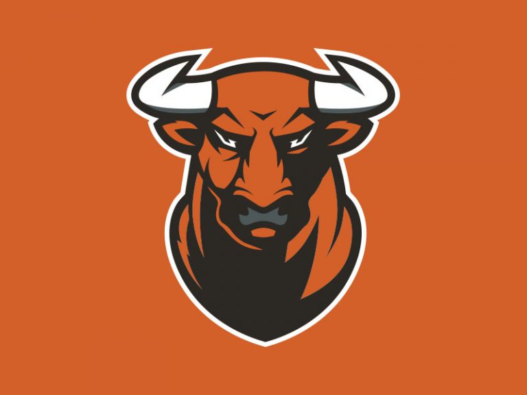 Toro-768x576